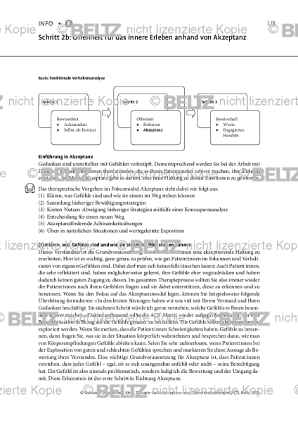 ACT: Schritt 2b: Offenheit für das innere Erleben anhand von Akzeptanz